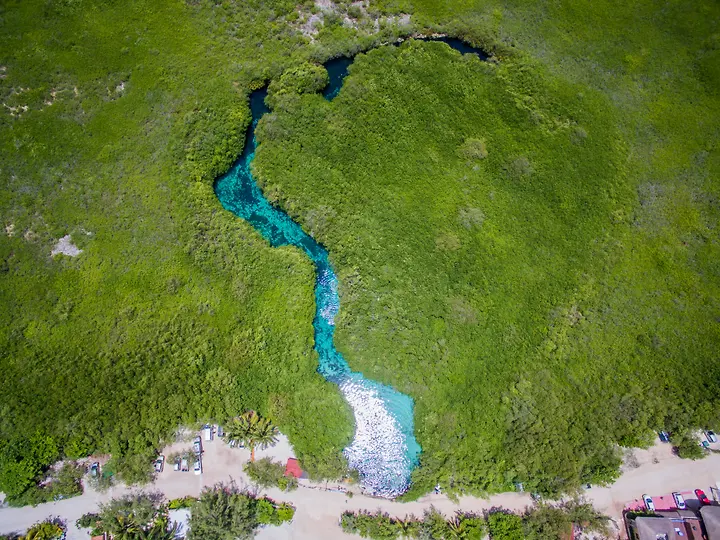 Casa Cenote mangroves