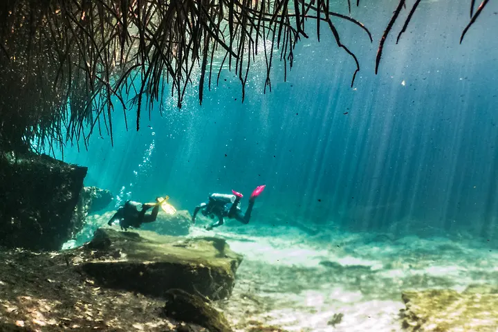 Two divers exploring Casa Cenote