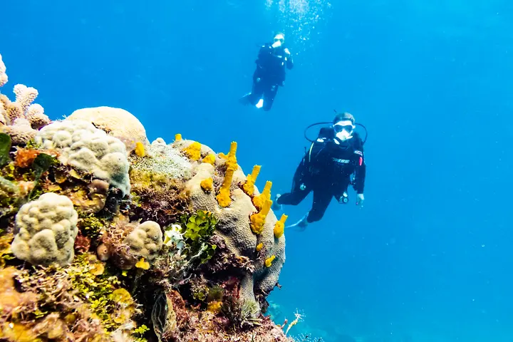 Divers exploring Palancar Reef