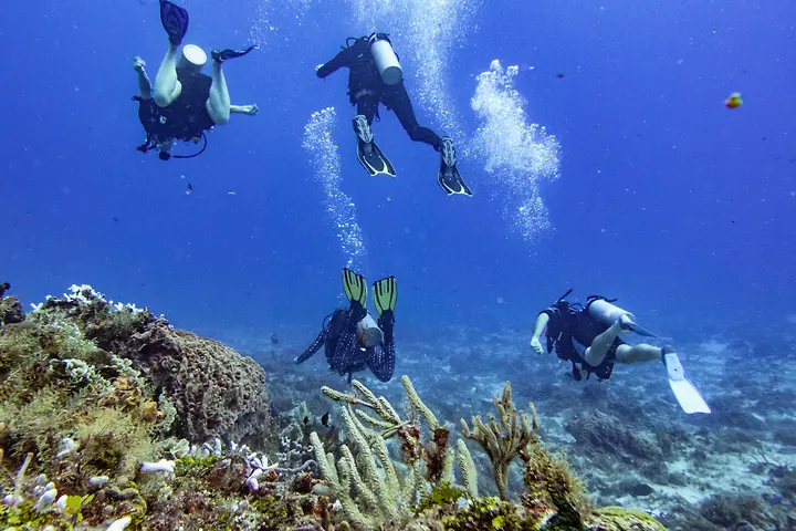 Enjoying the clear waters of Paso del Cedral