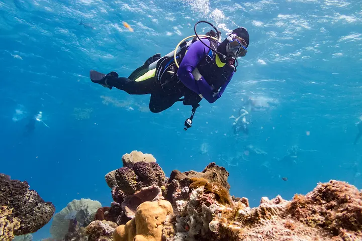Diver at a shallow reef in Cozumel