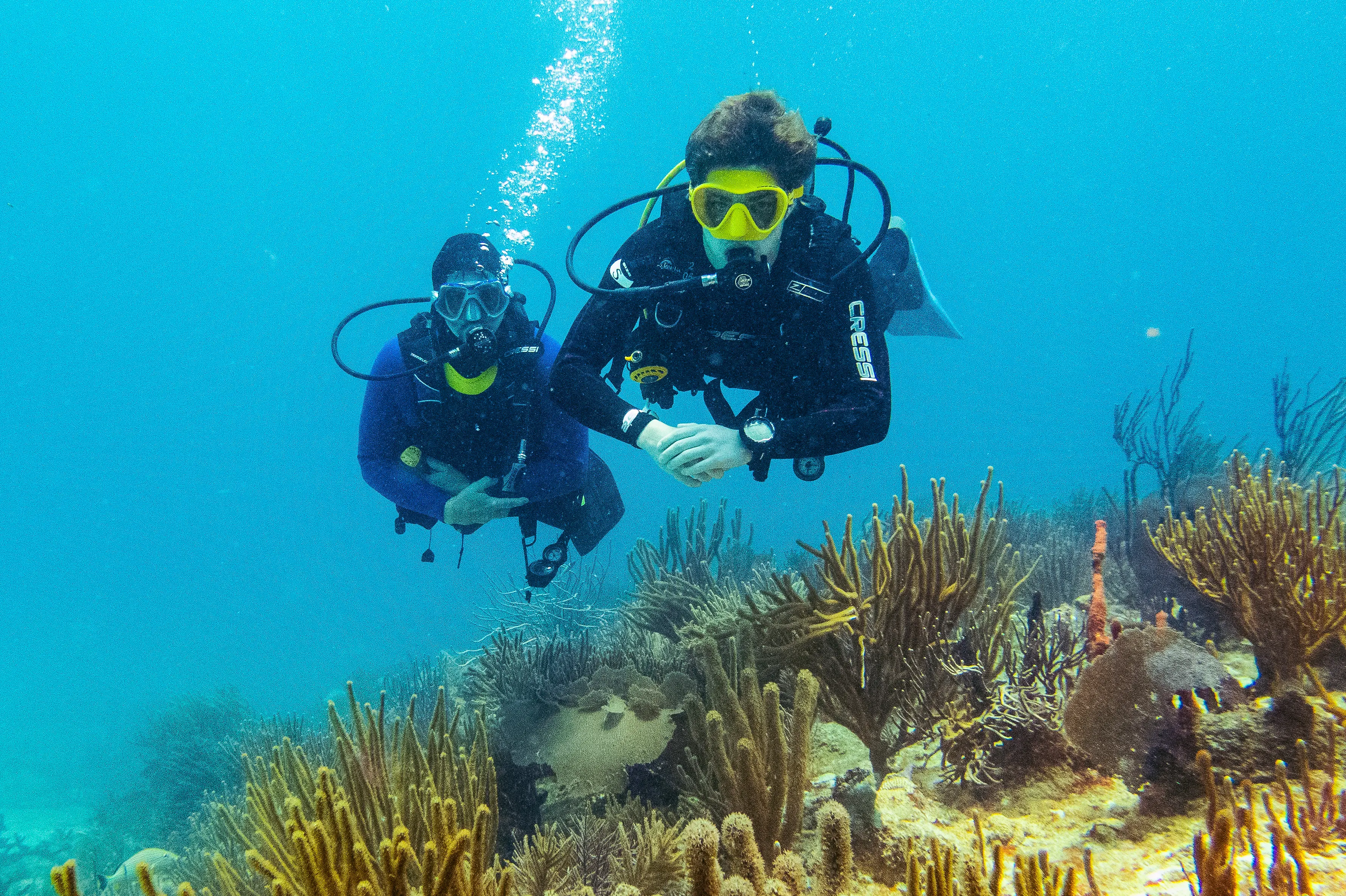 Students during a training dive