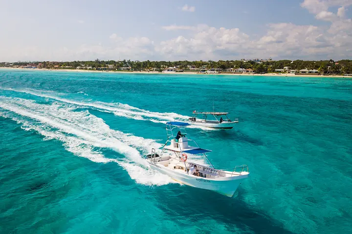 Our dive boats