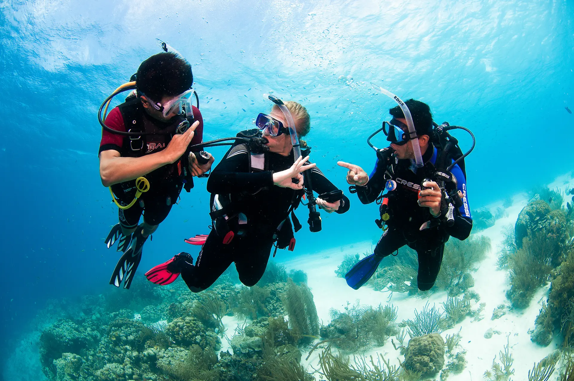 Discover Diving — hero