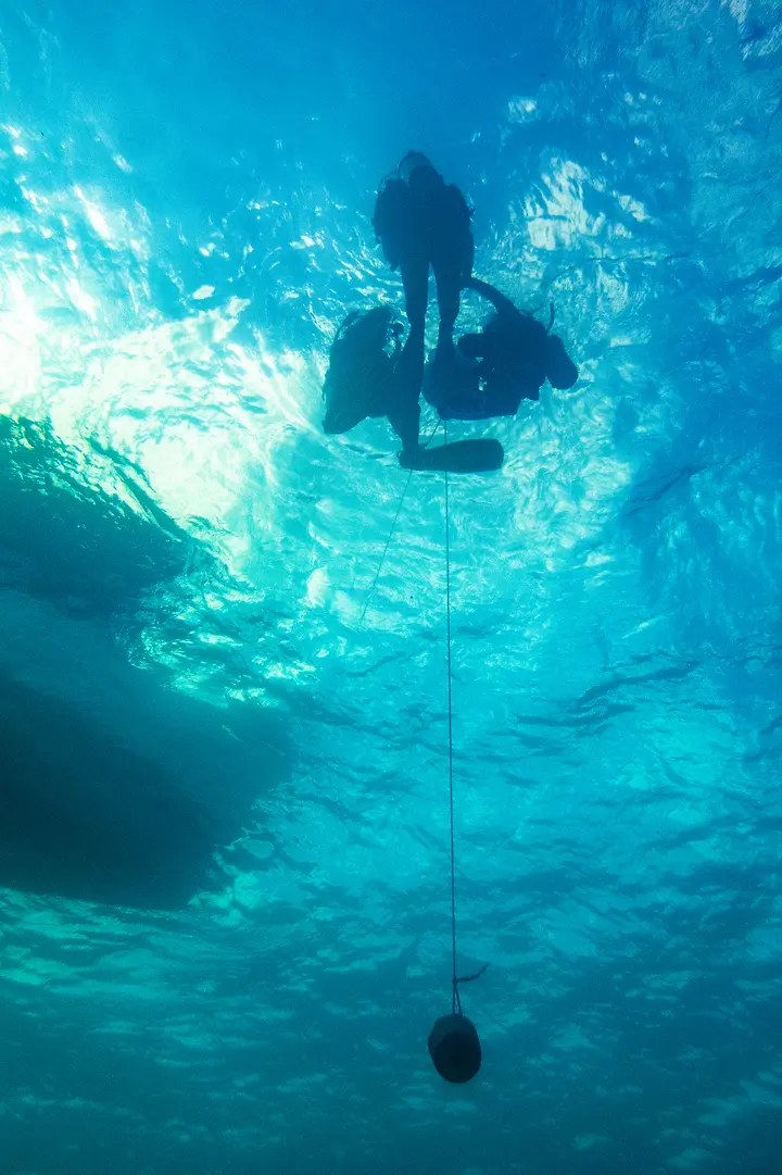 Students on the surface