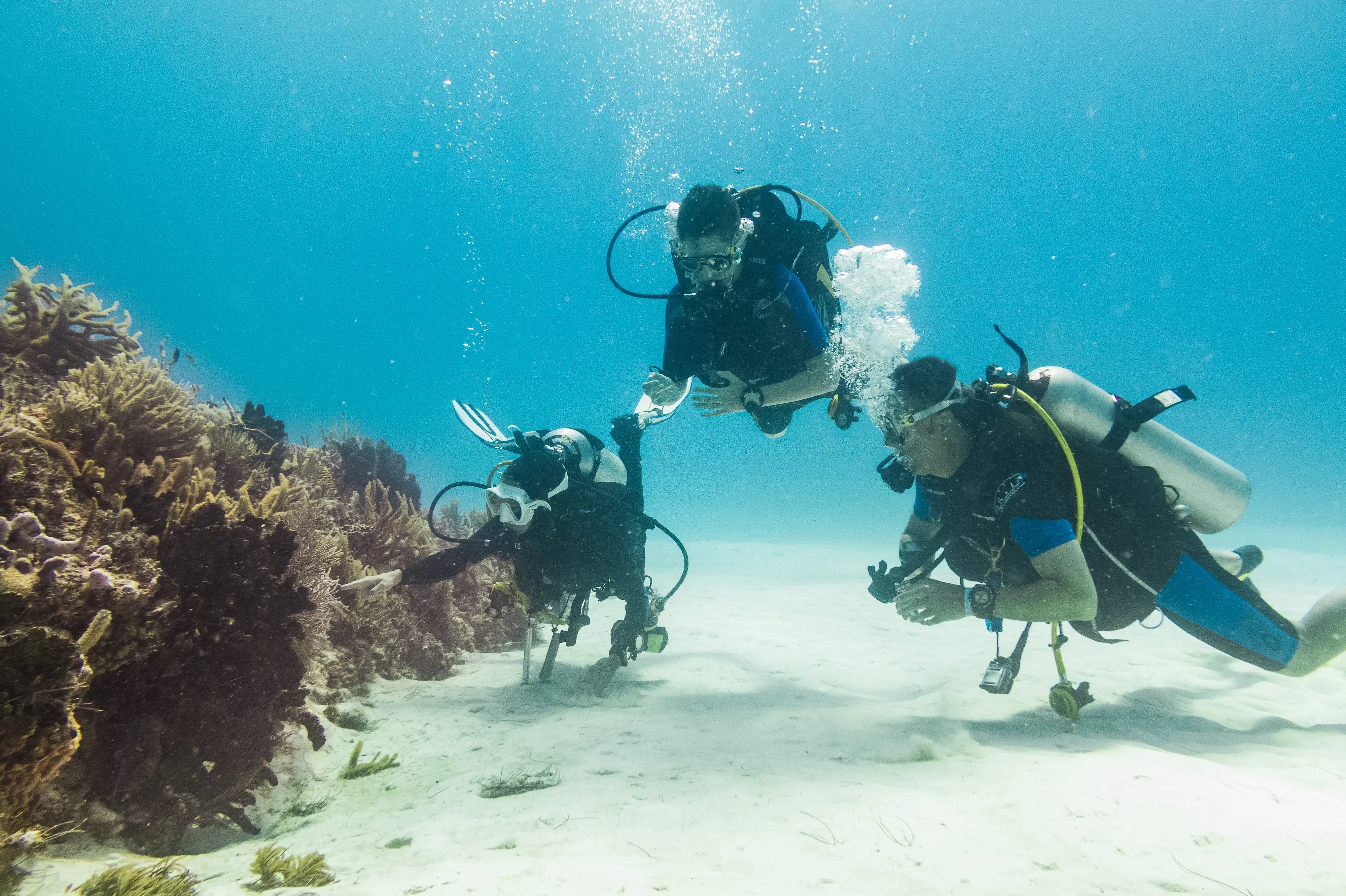 Instructor showing the reef to students