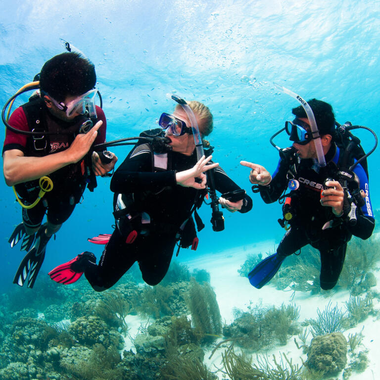 Padi scuba tune up guide book