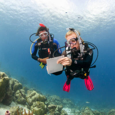 Diver performing exercises