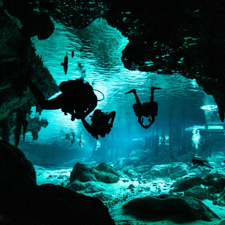 Divers in a cenote